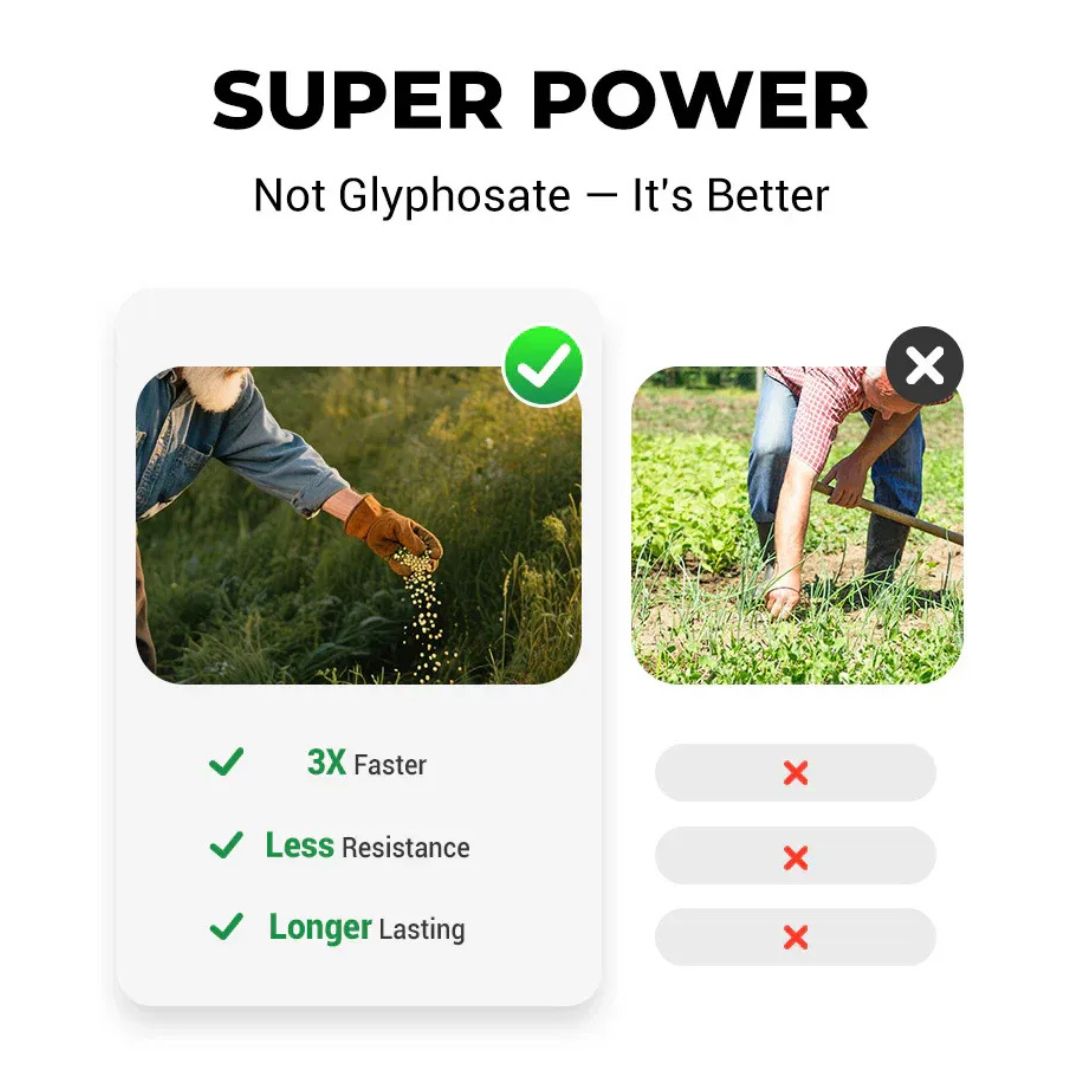 Cyclosinone Herbicide Granules 500gms Per Pack (🔥BUY 1 Pack GET 1 Pack FREE )