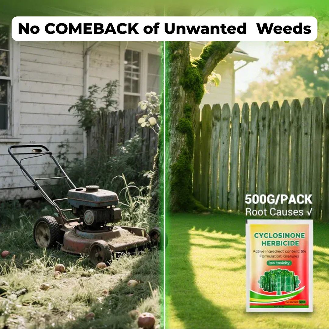 Cyclosinone Herbicide Granules 500gms Per Pack (🔥BUY 1 Pack GET 1 Pack FREE )