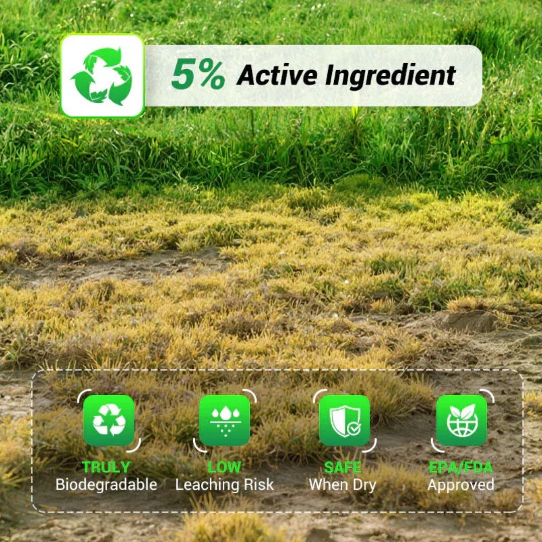 Cyclosinone Herbicide Granules 500gms Per Pack (🔥BUY 1 Pack GET 1 Pack FREE )