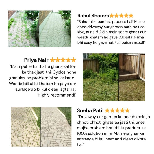 Cyclosinone Herbicide Granules 500gms Per Pack (🔥BUY 1 Pack GET 2 Pack FREE )