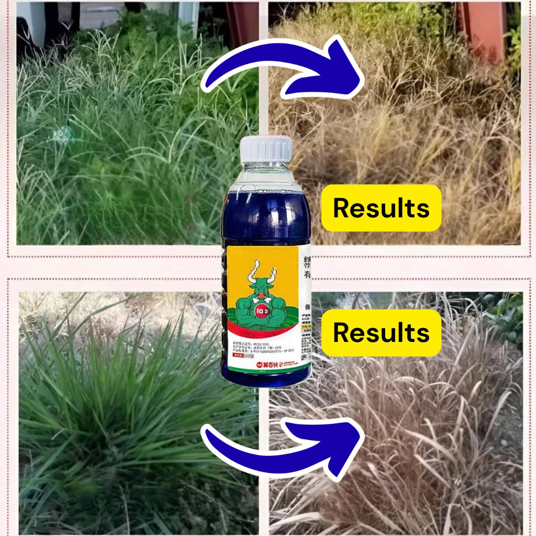 High-Concentration Glufosinate Herbicide Liquid (😍BUY 1 GET 1 FREE)