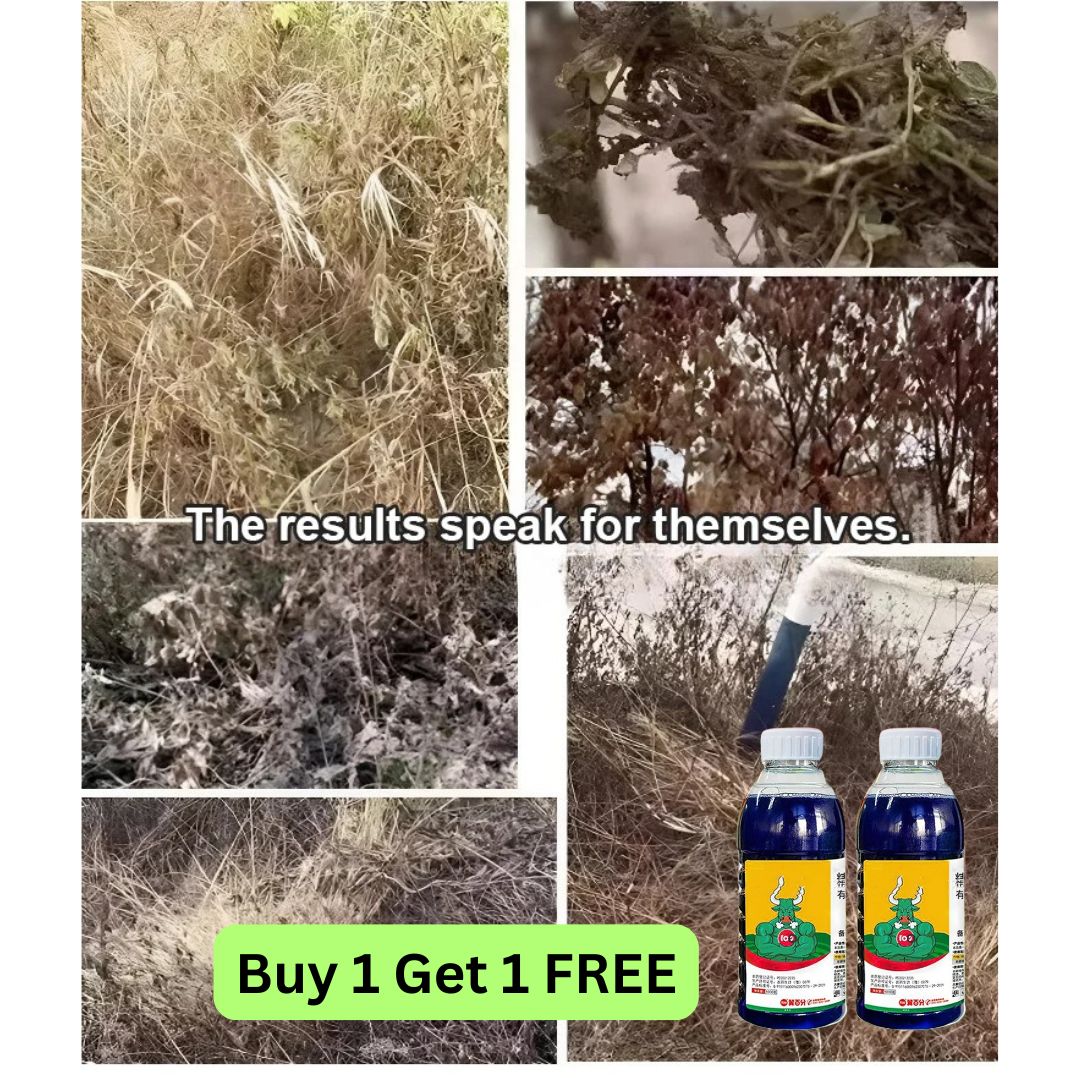 High-Concentration Glufosinate Herbicide Liquid (😍BUY 1 GET 1 FREE)