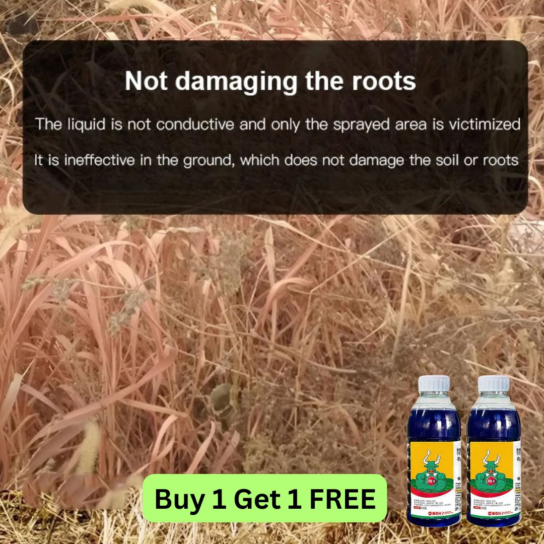 High-Concentration Glufosinate Herbicide Liquid (😍BUY 1 GET 1 FREE)