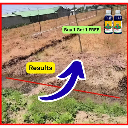 High-Concentration Glufosinate Herbicide Liquid (😍BUY 1 GET 1 FREE)