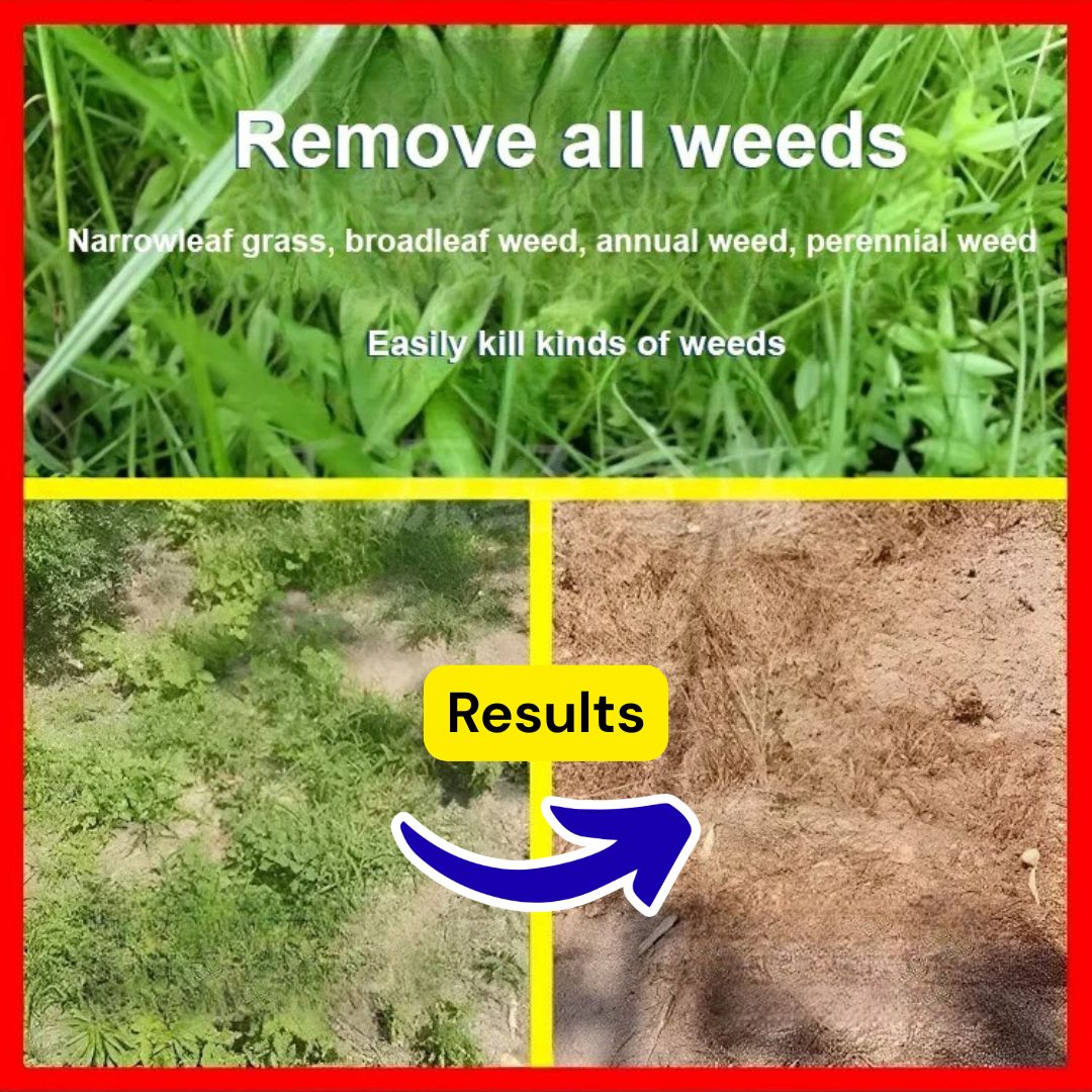 High-Concentration Glufosinate Herbicide Liquid (😍BUY 1 GET 1 FREE)